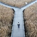 dilemma (딜레마, 어려운 문제, (선택지를) 둘 놓으모) 어원 이미지