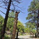 삼인산밸리캠핑장 이미지