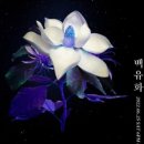 7월 넷째 주 : 정리되지 못한 감정들에 작별을 고하며