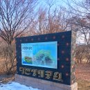 현대문화관자판기 | 남양주 가볼 만한 곳 정약용 유적지 풀코스, 북한강 뷰가 멋진 생태공원 데이트 코스