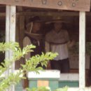 시대농장 이미지