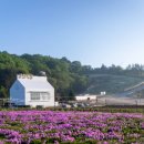 삼양로지스틱스(주) 네이버블로그