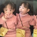 하빈 상당 네이버블로그