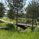 동진천길 이미지