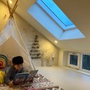 제주보홀 이미지