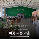 재일농원 | 파주 아이랑 농촌체험 벼꽃피는마을 아울렛근처