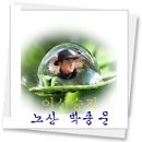 신덕목우길R | 朴(Park)