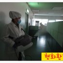 현화환경 이미지