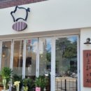 카츠와이찌 이미지