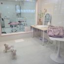 러블리마이펫 이미지