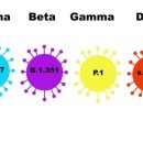 델타메드 이미지