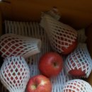 하이크린 이미지