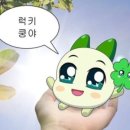 로즈맘산부인과 이미지