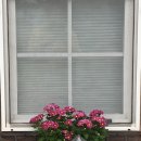 브로칸트 하우스 이미지