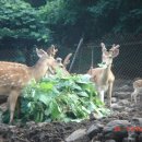 신천농장 이미지