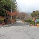 추산농로 | 광양 백계산을 가다 - 제6회 광양천년 동백축제