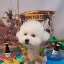 멍데이 살롱 이미지