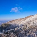 청솔(171) 이미지