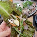 넘버원회도매 | 김해물회 맛집 형제도매횟집 제철 전어 먹고 온 후기