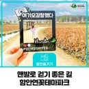연꽃테마파크 이미지