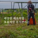 형제태양광발전소 이미지