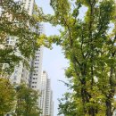 큰태양공인중개사사무소 이미지