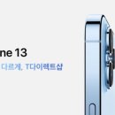 블루테라 이미지