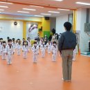 한결태권도장 | 운정태권도 파주 가람 경희대 태권도장 후기