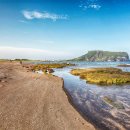 핀크스비오토피아 콘도미니엄 이미지