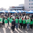 친환경 식물로 소품만들기 이미지