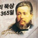 포도나무365 이미지