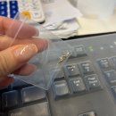 쭈니살롱 | 2025 Montly.October_풍성하다 못해 터질듯한