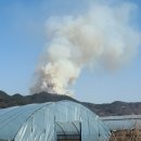 동부1리 이미지