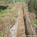 무성햇빛발전소 이미지