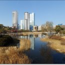 송도미추홀공인중개사사무소 이미지