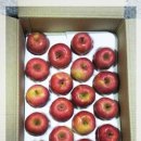 송연농장 이미지