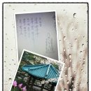 시대주 이미지