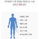 덴트박스 | 임산부 치약 잇몸치약 추천 루미덴트 사용 후기 구취 제거 효과까지 만족