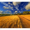 토정축산 이미지