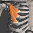 금빛태권도장 이미지