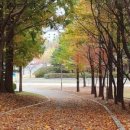 (주)굿모닝 투어 네이버블로그