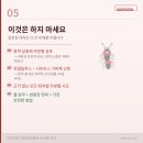 러브버그 2026 퇴치법·차단법 완벽 정리, 효과 있는 것 vs. 근거 없는 것