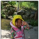 계곡위언덕펜션 이미지