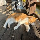 양평 피오레 감성 힐링 스파 펜션 | [양평] 피오레 스파 펜션에서 광란의(?) 바베큐 파티