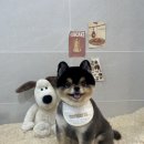 몽아뜨 이미지