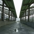 선진축사 이미지