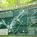 성주산 | 보령 여행 힐링보장 누구나좋아하는곳 성주산자연휴양림 (주차, 입장료)