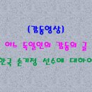 ?[감동영상]어느 독일인의 감동 글(마라토너 손기정, 남승룡, 황영조 선수에 대하여) 이미지