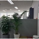 비전부동산공인중개사사무소 이미지