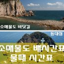 하섬펜션민박 | 소매물도 배편 물때 시간 날씨 통영 여행 팁! (저구항 배시간표 등대섬)